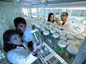 Science Laboratory 在线短信电话轰炸机